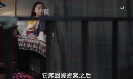 桃子姐姐爆料视频大全集,揭秘娱乐圈幕后真相