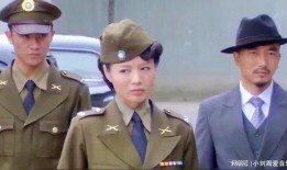 电视剧孤雁在线观看,逆境中的坚韧与成长